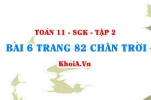 Bài 6 trang 82 Toán 11 Tập 2 Chân trời sáng tạo